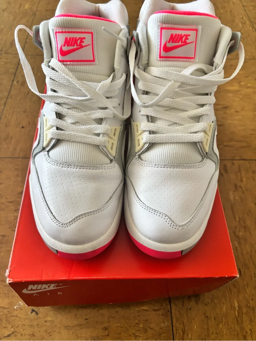 Air tech challenge 2 andre Agassi tennis shoe